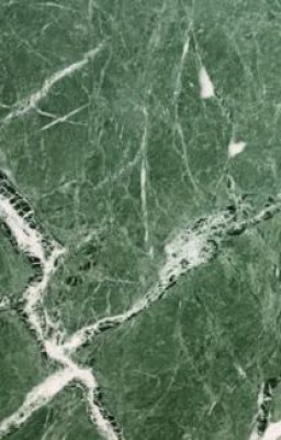 Đá Marble xanh vỏ dừa - Bạch Đằng Traserco - Công Ty Cổ Phần Thương Mại Và Dịch Vụ Bạch Đằng